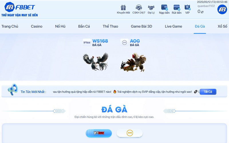 Sơ lược về không gian Đá Gà tại F8bet5